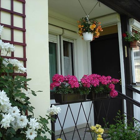 Liza Apartman Gyula Quarto foto